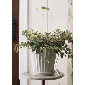 Hearth & Hand with Magnolia 16" Plant Grow LED Lights Stake Brand New In Box